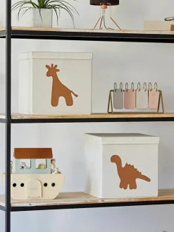Aufbewahrungsbox Premium