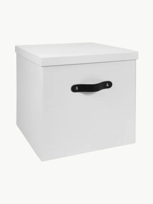 Aufbewahrungsbox Texas