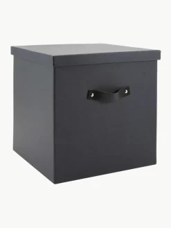 Aufbewahrungsbox Texas