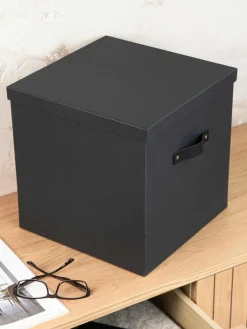 Aufbewahrungsbox Texas