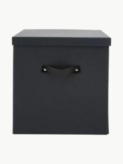 Aufbewahrungsbox Texas