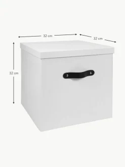 Aufbewahrungsbox Texas