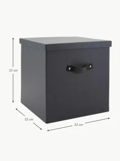 Aufbewahrungsbox Texas