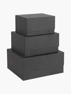 Aufbewahrungsboxen Ilse, 3er-Set
