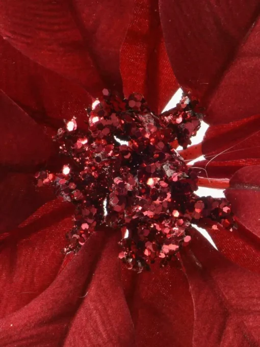 Baumanhänger Poinsettia, 2 Stück