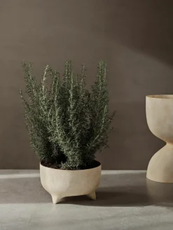 Übertopf Evoke, H 26 cm