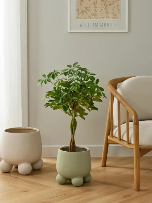Übertopf Olea, H 26 cm