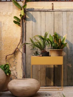 Übertopf Plant Box