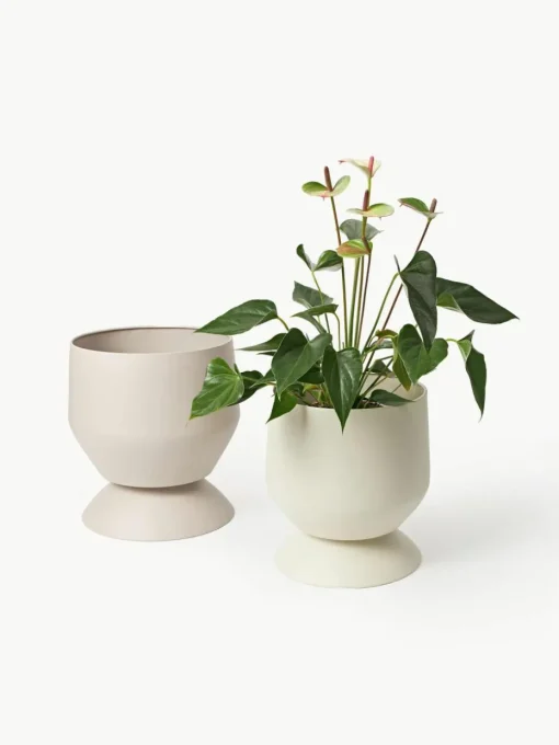 Übertöpfe Renya, 2er-Set