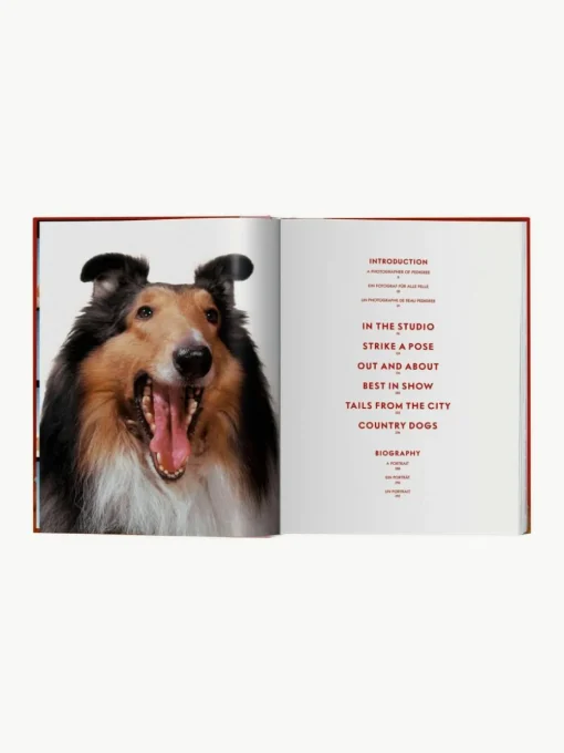 Bildband Dogs. Photographs 1941–1991