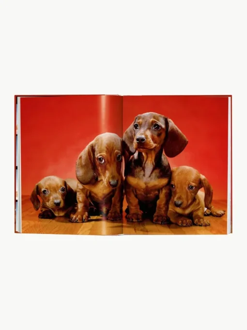 Bildband Dogs. Photographs 1941–1991