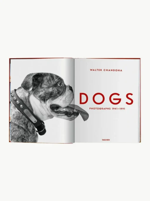 Bildband Dogs. Photographs 1941–1991