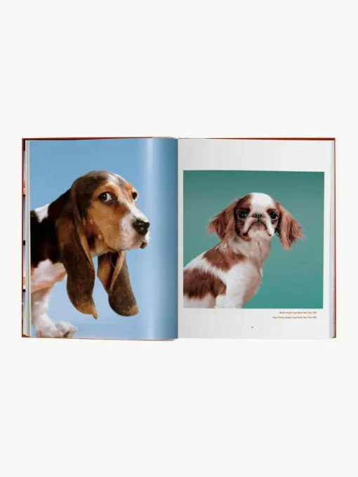 Bildband Dogs. Photographs 1941–1991