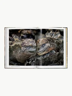 Bildband Steve McCurry. Animals