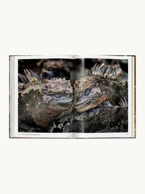 Bildband Steve McCurry. Animals