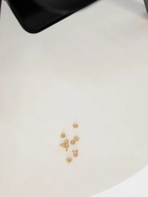Bodenschutzmatte Naturals, rutschfest