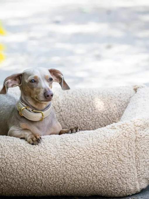 Bouclé-Hundebett Teddy, in verschiedenen Größen