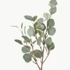 Dekozweig Eukalyptus