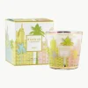 Duftkerze My First Baobab Miami (Salzblume, Strandkiefer & Zypresse)