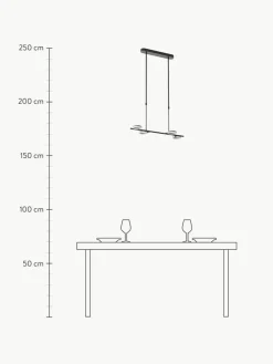 Große LED-Pendelleuchte Odeon