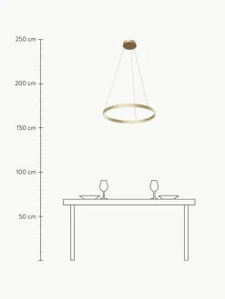 Große LED-Pendelleuchte Rim