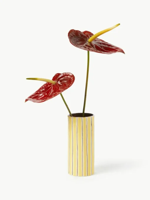 Handbemalte Porzellan-Vase Ray, H 18 cm
