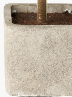 Handgefertigte Kunstbäume Moni, 2er-Set