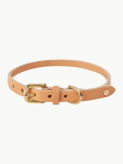 Haustier-Halsband Robin aus Leder, in verschiedenen Größen