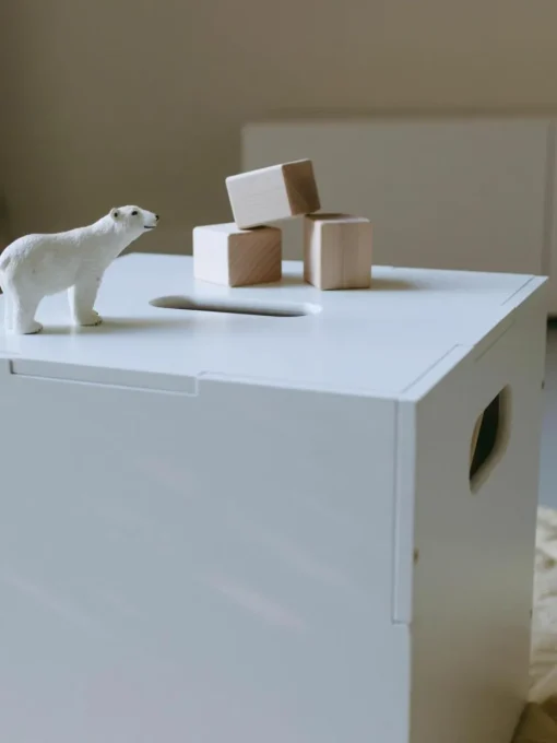 Holz-Aufbewahrungsbox Cube