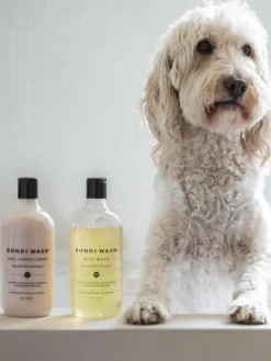 Hunde-Conditioner Bondi (Teebaum & Zitronengras)