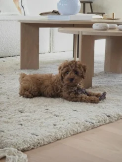 Hundespielzeug Otto