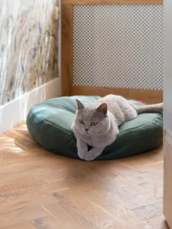 Katzenbett Donut