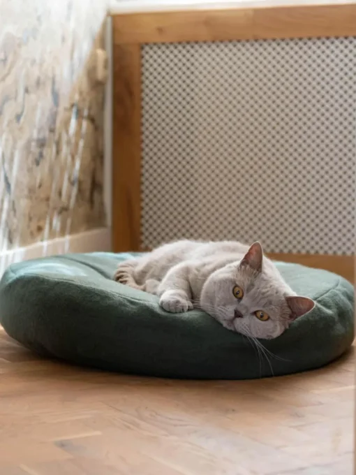 Katzenbett Donut