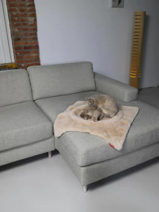Katzenbett Flip