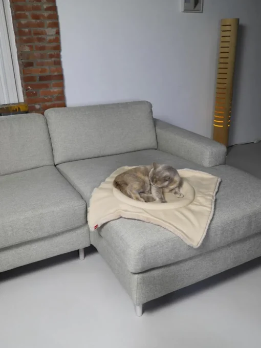 Katzenbett Flip