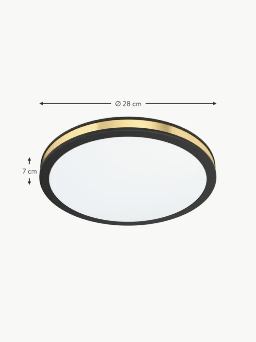 Kleine LED-Deckenleuchte Pescaito