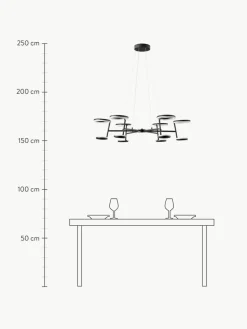 LED-Pendelleuchte Odeon