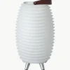 Mobile dimmbare LED-Gartenleuchte Synergy S mit Lautsprecher und Flaschenkühler