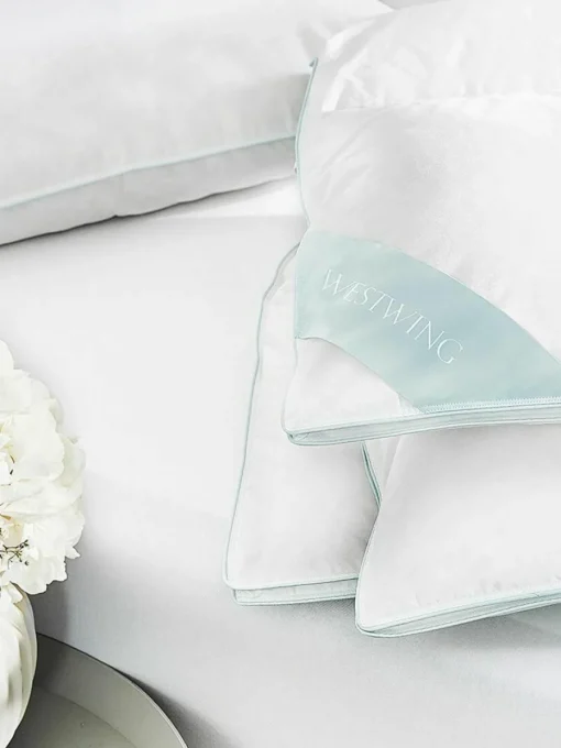 Reine Daunen-Bettdecke Premium, extra leicht