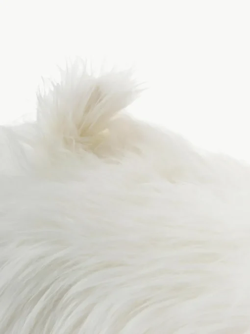 Schaukeltier Lama