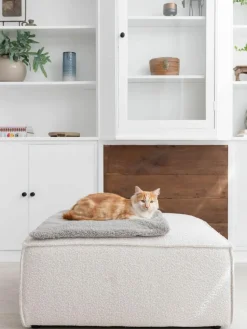 Teddy-Katzendecke Tri